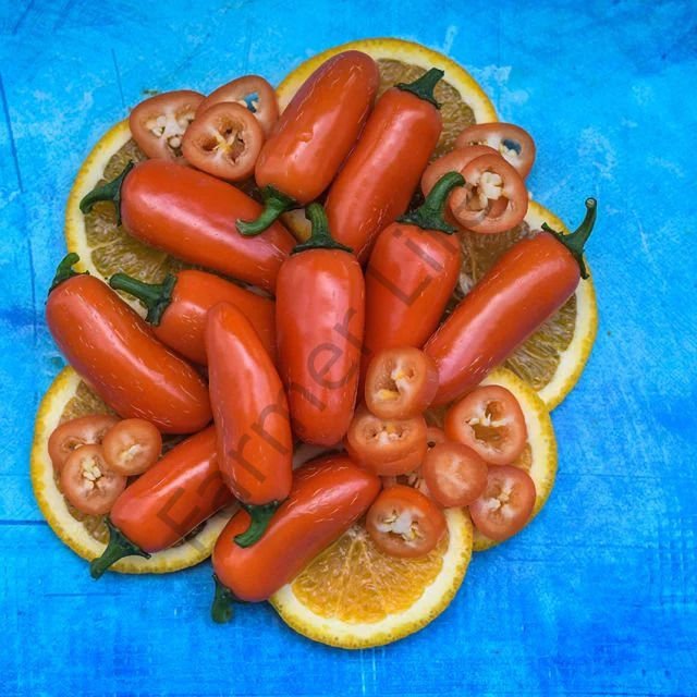 Turuncu Jalapeno Biber Tohumu (10 Tohum)