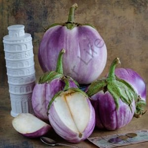 Rosa Bianca Patlıcan Tohumu (10 Tohum)