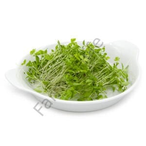 Microgreen Yeşillik Maydanoz Tohumu 50 Gr