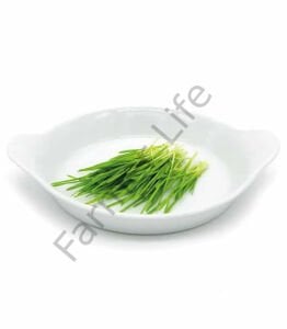 Microgreen Yeşillik Buğday Tohumu 100 gr