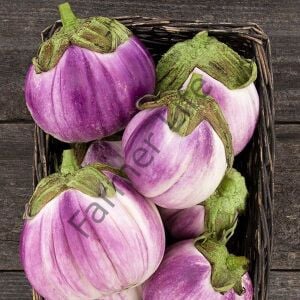 Rosa Bianca Patlıcan Fidesi 6 Adet