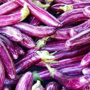 Manisa Alaca Patlıcan Fidesi 6 Adet