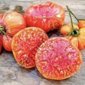 Flame Hillbilly Domates Fidesi 6 Adet