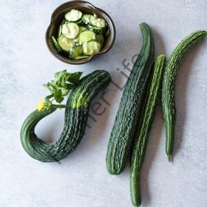 Suyo Long Salatalık (Hıyar) Fidesi 6 Adet