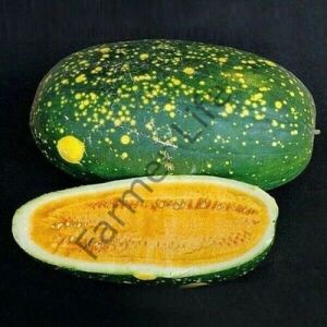 Moon & Stars Karpuz Fidesi 6 Adet