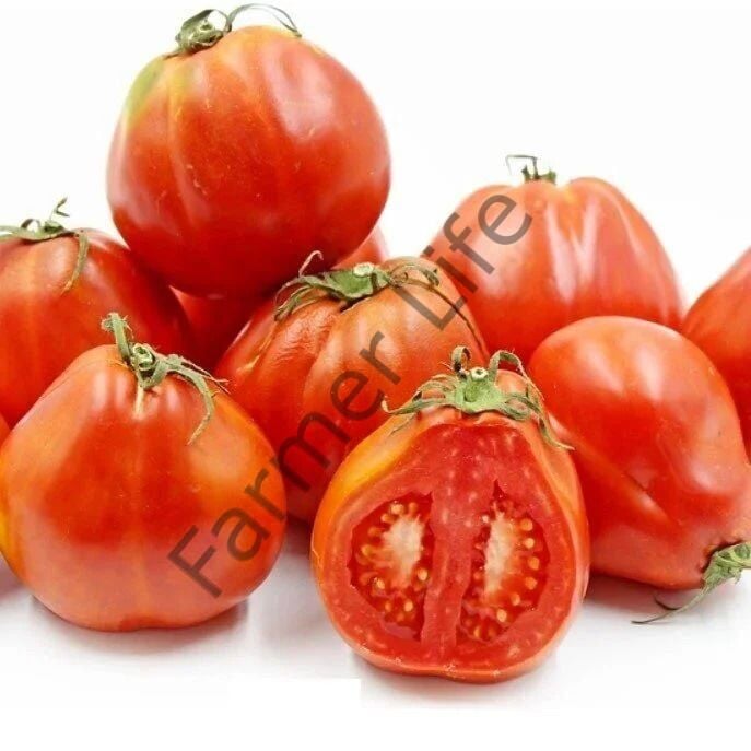 İtalyan Armut Domates Fidesi 6 Adet