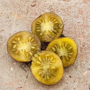 Antho Weib Domates Fidesi 6 Adet