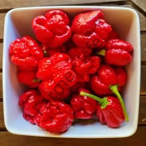 Trinidad Moruga Scorpion Biber Fidesi 6 Adet