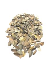 Karışık Renkli Lekeli Zinnia Çiçeği Tohumu