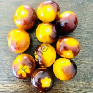 Blue Bumblebee Domates Fidesi 6 Adet