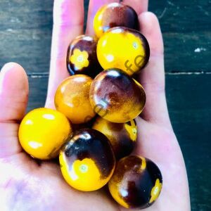 Blue Bumblebee Domates Fidesi 6 Adet