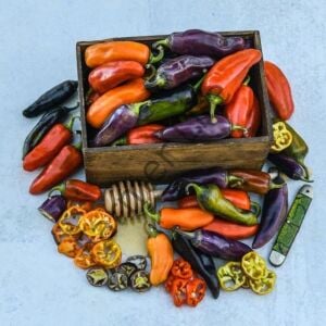 Pippin's Golden Honey Biber Fidesi 6 Adet