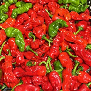 Peter Biber Fidesi 6 Adet