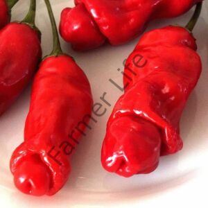 Peter Biber Fidesi 6 Adet