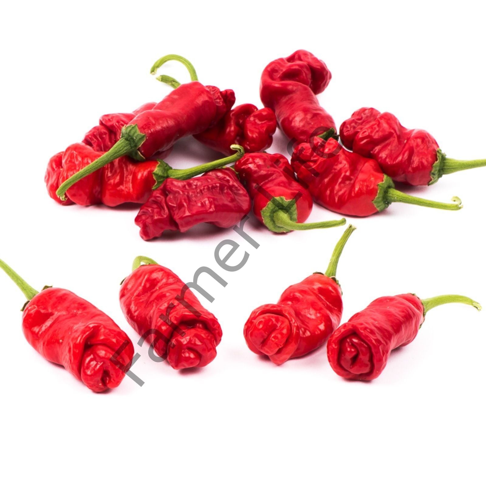 Peter Biber Fidesi 6 Adet