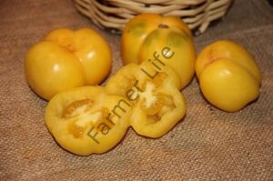 Doochova Domates Fidesi 6 Adet