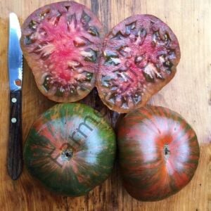 Chocolate Stripes Domates Fidesi 6 Adet