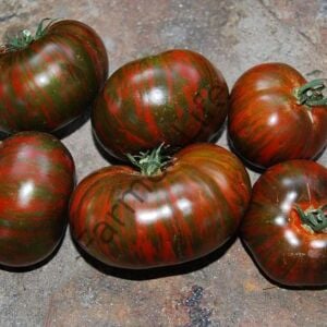 Chocolate Stripes Domates Fidesi 6 Adet