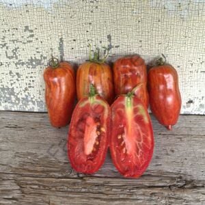 Specled Roman Domates Tohumu (10 Tohum)