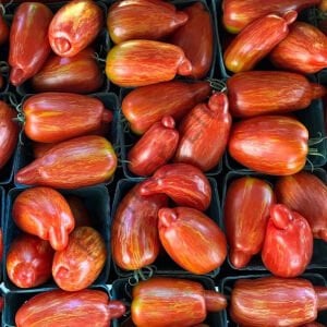 Specled Roman Domates Tohumu (10 Tohum)