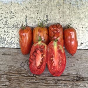 Specled Roman Domates Fidesi 6 Adet