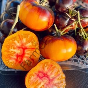 Lucid Gem Domates Fidesi 6 Adet