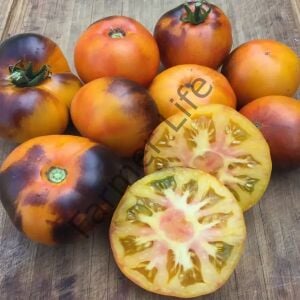 Lucid Gem Domates Fidesi 6 Adet