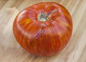 Solar Flare Domates Fidesi 6 Adet