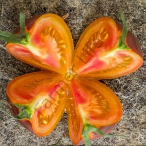 Ananas Blue Domates Tohumu (10 Tohum)