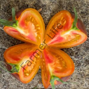 Ananas Blue Domates Fidesi 6 Adet