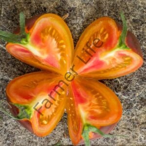 Ananas Blue Domates Fidesi 6 Adet