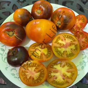 Ananas Blue Domates Fidesi 6 Adet