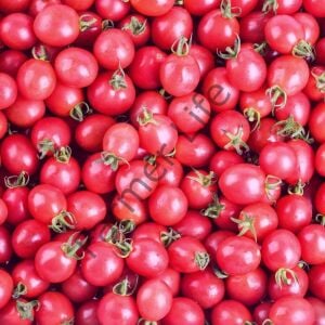 Pembe Cherry Domates Fidesi 6 Adet