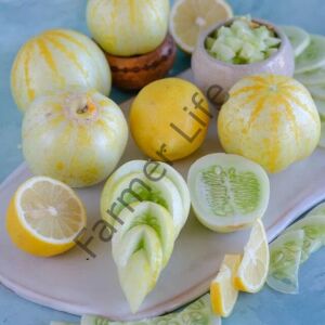 Limon Salatalık (Hıyar) Fidesi 6 Adet