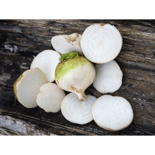 20 Adet Albino Pancar Tohumu