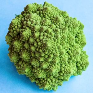Romanesco Karnabahar Tohumu (20 Tohum)