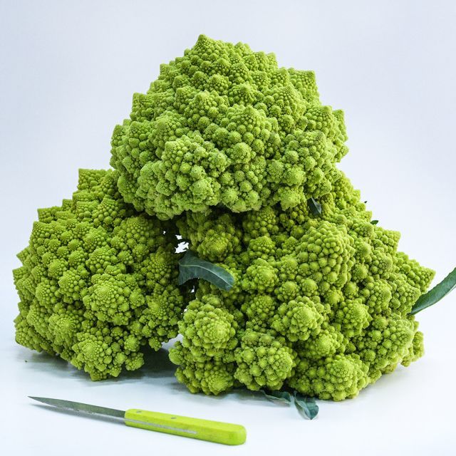 Romanesco Karnabahar Tohumu (20 Tohum)