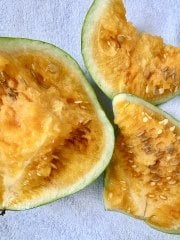 5 Adet Atalık Turuncu Karpuz Tohumu