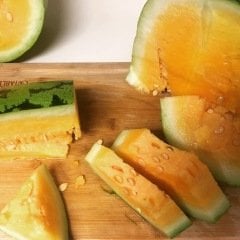 5 Adet Atalık Turuncu Karpuz Tohumu