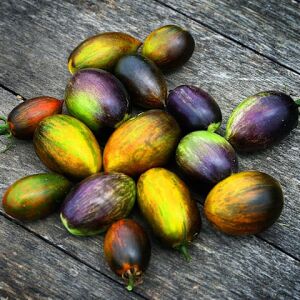 Brad's Atomic Grape Domates Tohumu (10 Tohum)