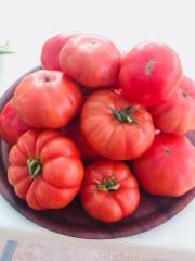 Yerli Köy Tipi Pembe Domates Tohumu (50 Tohum)