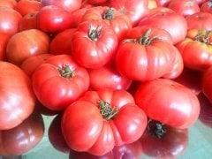 Yerli Köy Tipi Pembe Domates Tohumu (50 Tohum)