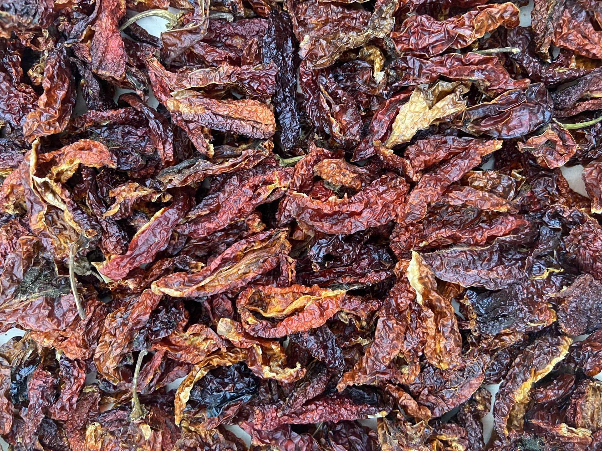 Dünyanın En Acı Biberi Kurusu (Şaka Biberi) 10 gr