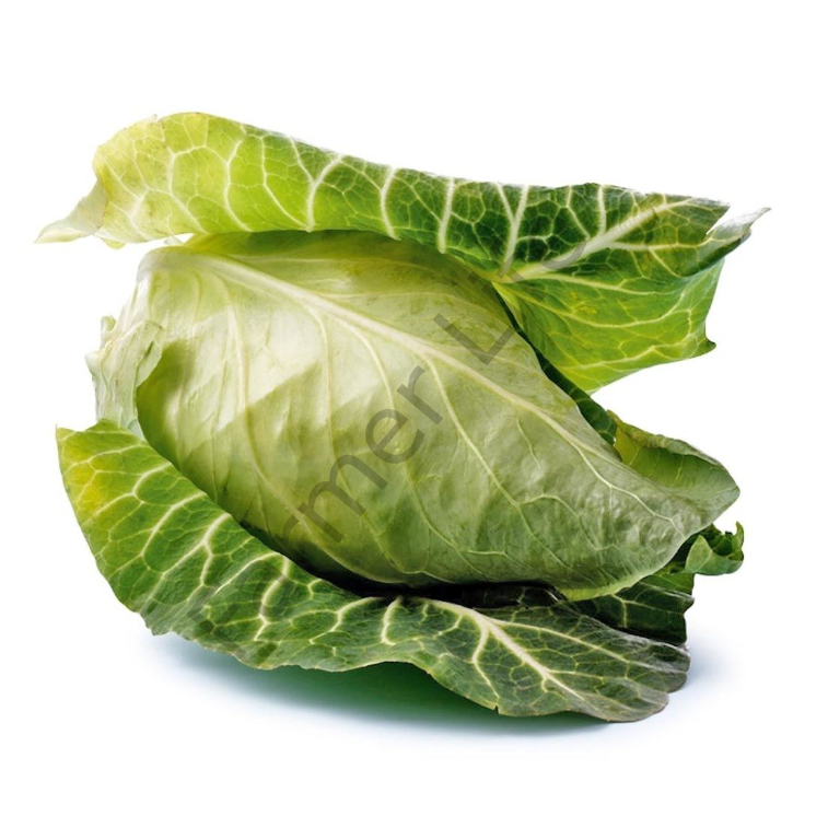 Jersey Lahana Fidesi 6 Adet