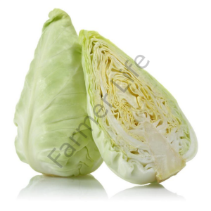 Jersey Lahana Fidesi 6 Adet