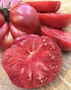 Bulgar Pembesi Domates Tohumu (10 Tohum)