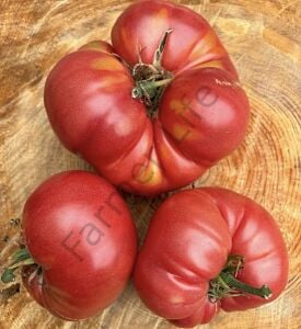 Bulgar Pembesi Domates Tohumu (10 Tohum)