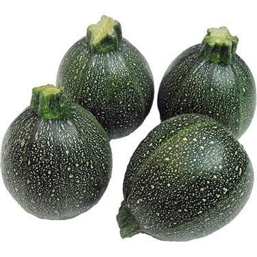 Atalık Topak Kabak Tohumu (50 Tohum)