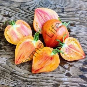 Midnight Sun (Mozaik Yürek) Domates Fidesi 6 Adet