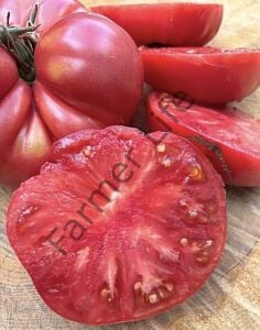 Bulgar Pembesi Domates Fidesi 6 Adet